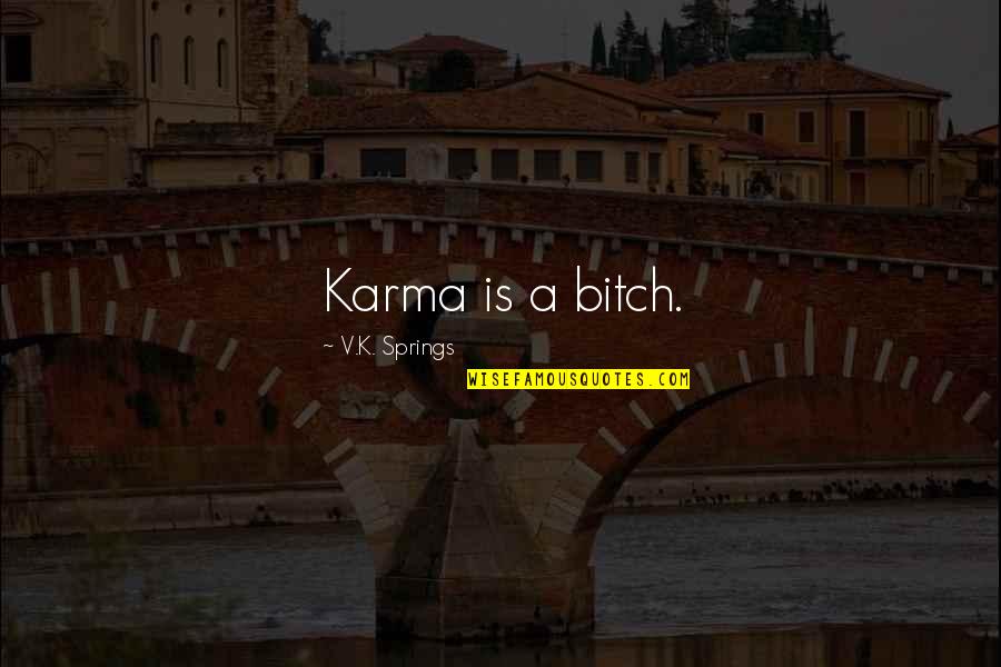 Marketing Channels Quotes By V.K. Springs: Karma is a bitch.