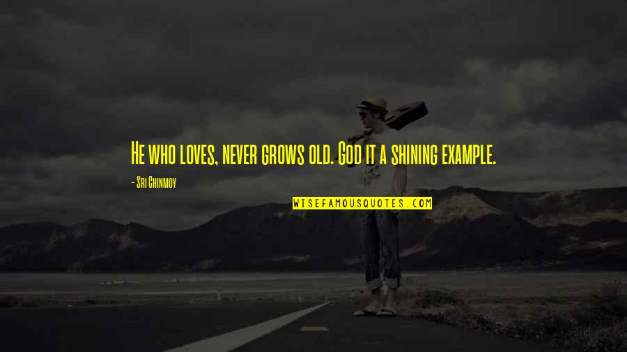 Marketing Data Quotes By Sri Chinmoy: He who loves, never grows old. God it