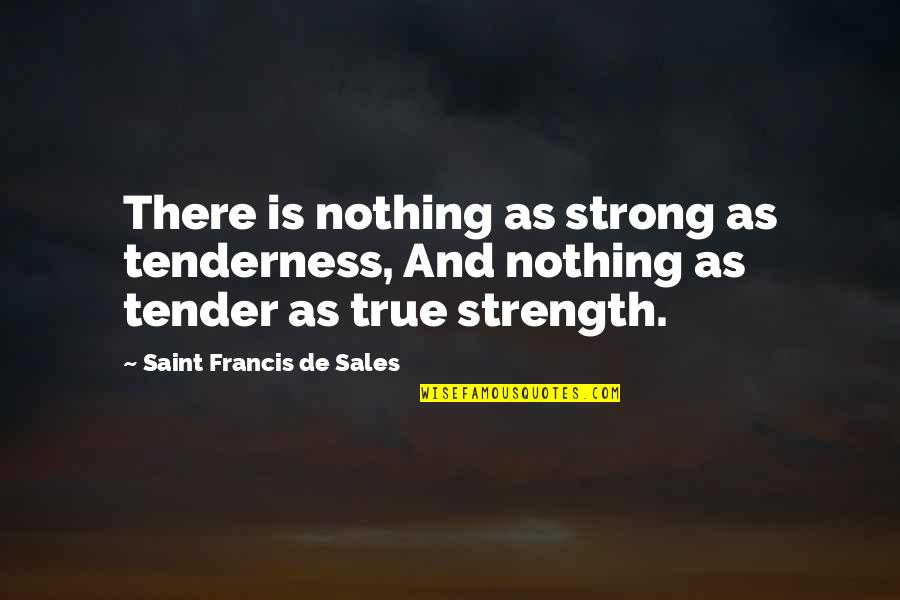Marketization Of Education Quotes By Saint Francis De Sales: There is nothing as strong as tenderness, And
