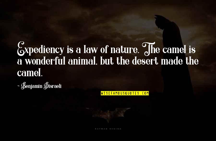 Markour Quotes By Benjamin Disraeli: Expediency is a law of nature. The camel Markour Quotes By Benjamin Disraeli: Expediency is a law of nature. The camel