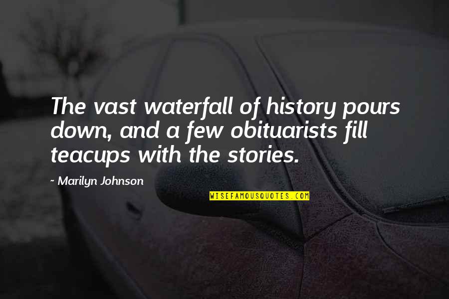 Marksmen Quotes By Marilyn Johnson: The vast waterfall of history pours down, and