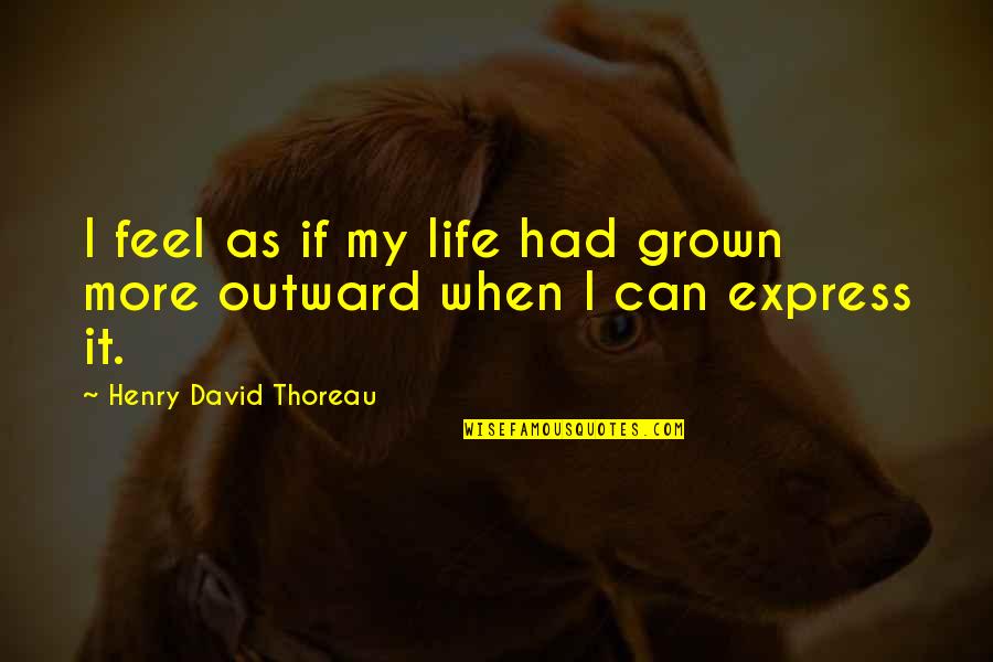 Markussen Islands Quotes By Henry David Thoreau: I feel as if my life had grown Markussen Islands Quotes By Henry David Thoreau: I feel as if my life had grown