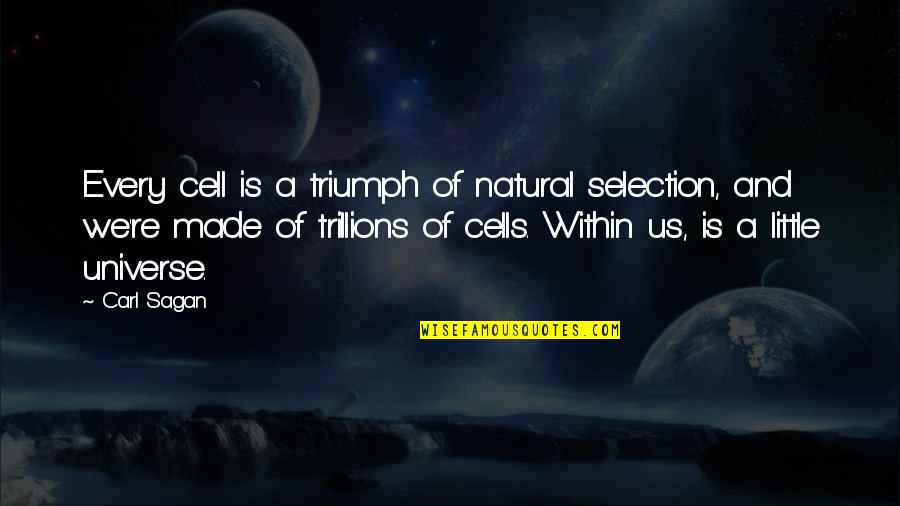 Marlboro Sad Quotes By Carl Sagan: Every cell is a triumph of natural selection,