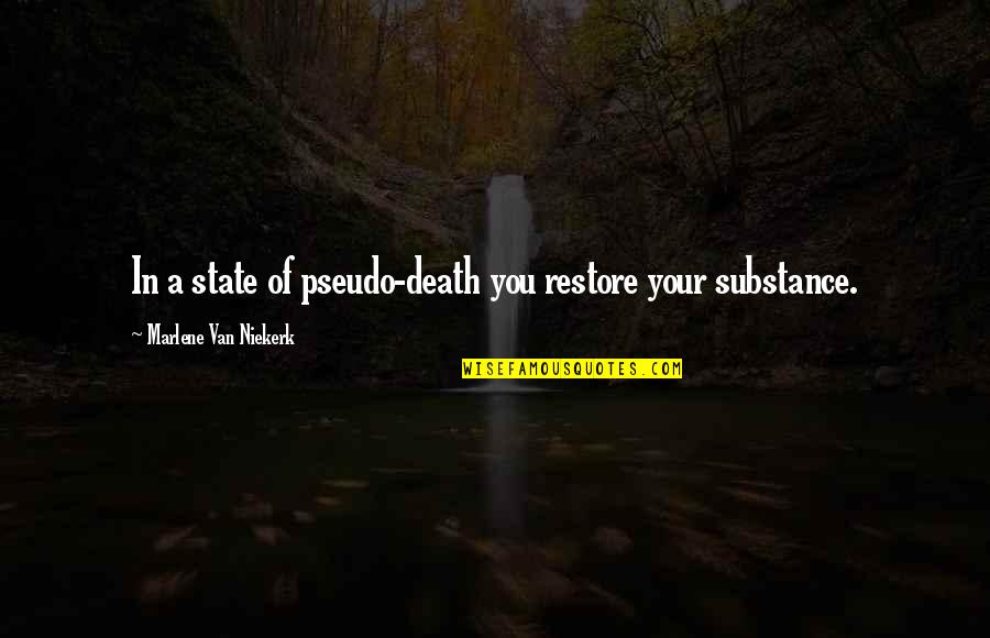Marlene Quotes By Marlene Van Niekerk: In a state of pseudo-death you restore your