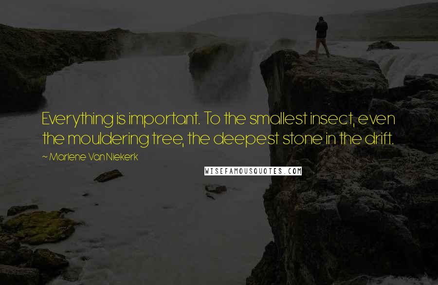 Marlene Van Niekerk quotes: Everything is important. To the smallest insect, even the mouldering tree, the deepest stone in the drift.