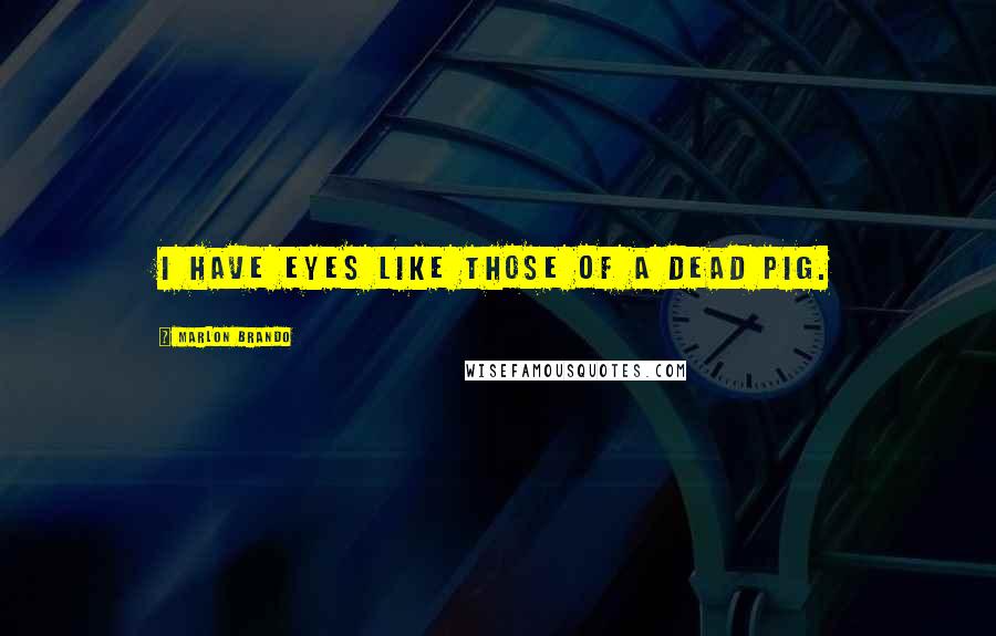 Marlon Brando quotes: I have eyes like those of a dead pig.