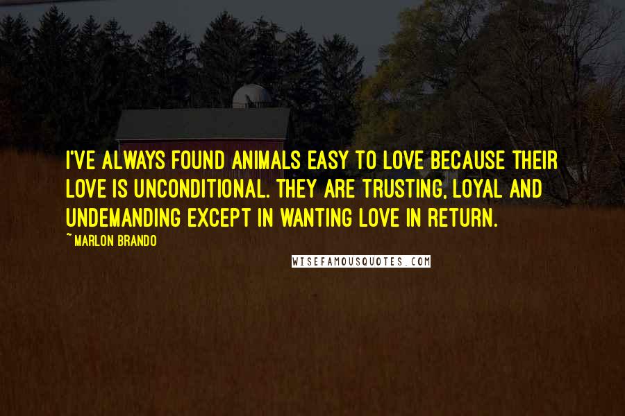 Marlon Brando quotes: I've always found animals easy to love because their love is unconditional. They are trusting, loyal and undemanding except in wanting love in return.