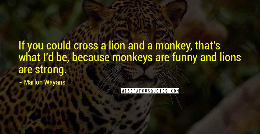 Marlon Wayans quotes: If you could cross a lion and a monkey, that's what I'd be, because monkeys are funny and lions are strong.