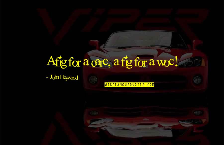 Marmar Quotes By John Heywood: A fig for a care, a fig for