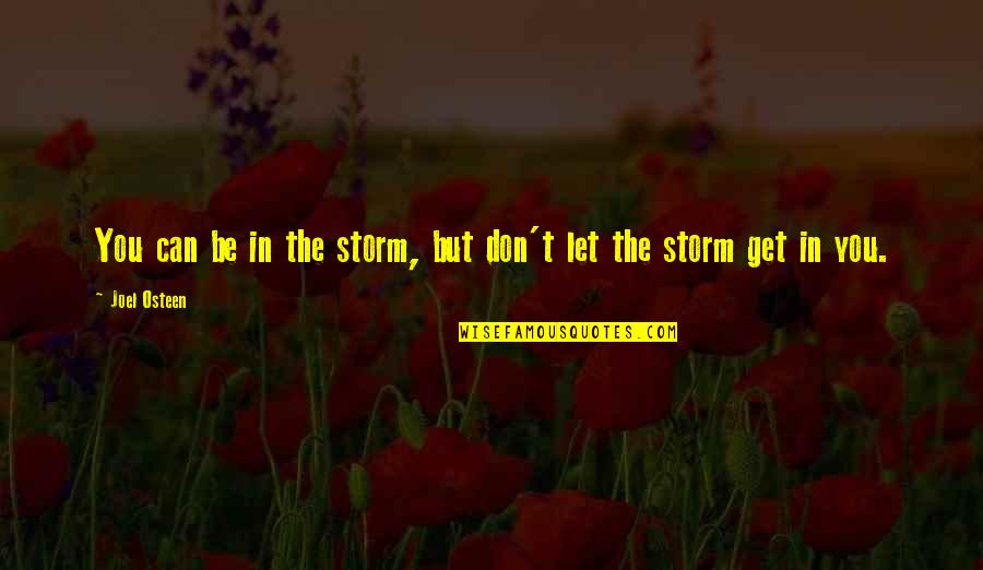 Marmite Nutritional Information Quotes By Joel Osteen: You can be in the storm, but don't