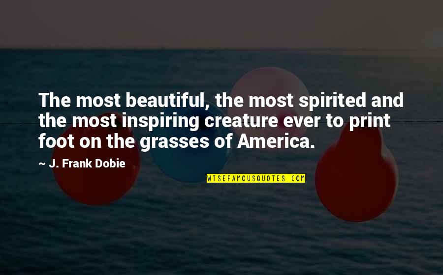 Marmolejos Milb Quotes By J. Frank Dobie: The most beautiful, the most spirited and the Marmolejos Milb Quotes By J. Frank Dobie: The most beautiful, the most spirited and the