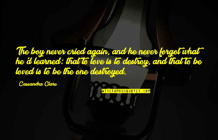 Marnie Stonebrook Quotes By Cassandra Clare: The boy never cried again, and he never Marnie Stonebrook Quotes By Cassandra Clare: The boy never cried again, and he never