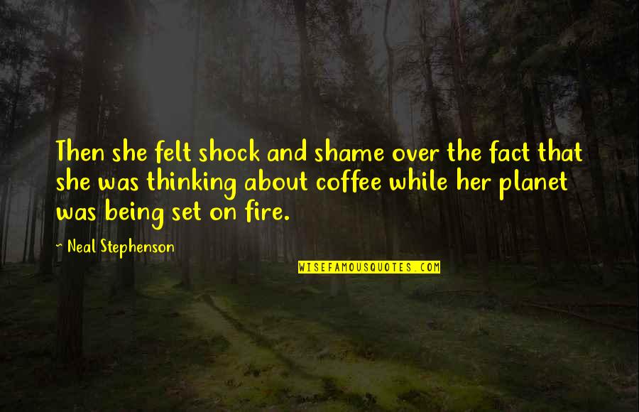 Marnis Unstable Fuel Quotes By Neal Stephenson: Then she felt shock and shame over the