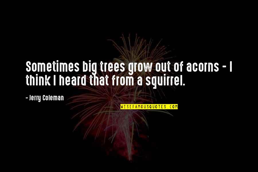 Marqueses Quotes By Jerry Coleman: Sometimes big trees grow out of acorns -