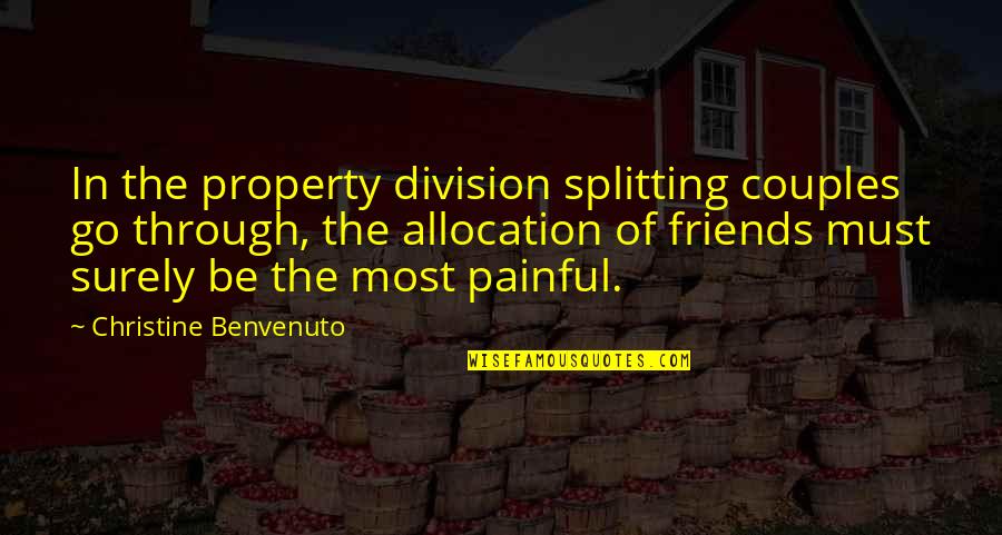 Marriage And Best Friends Quotes By Christine Benvenuto: In the property division splitting couples go through,
