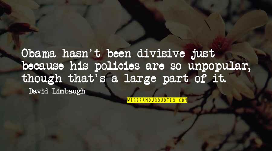 Marriage And Family Counseling Quotes By David Limbaugh: Obama hasn't been divisive just because his policies