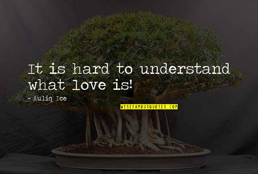 Marriage Is So Hard Quotes By Auliq Ice: It is hard to understand what love is!