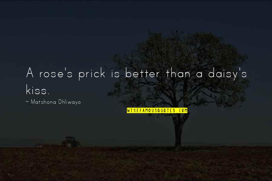 Marriage Kiss Quotes By Matshona Dhliwayo: A rose's prick is better than a daisy's Marriage Kiss Quotes By Matshona Dhliwayo: A rose's prick is better than a daisy's