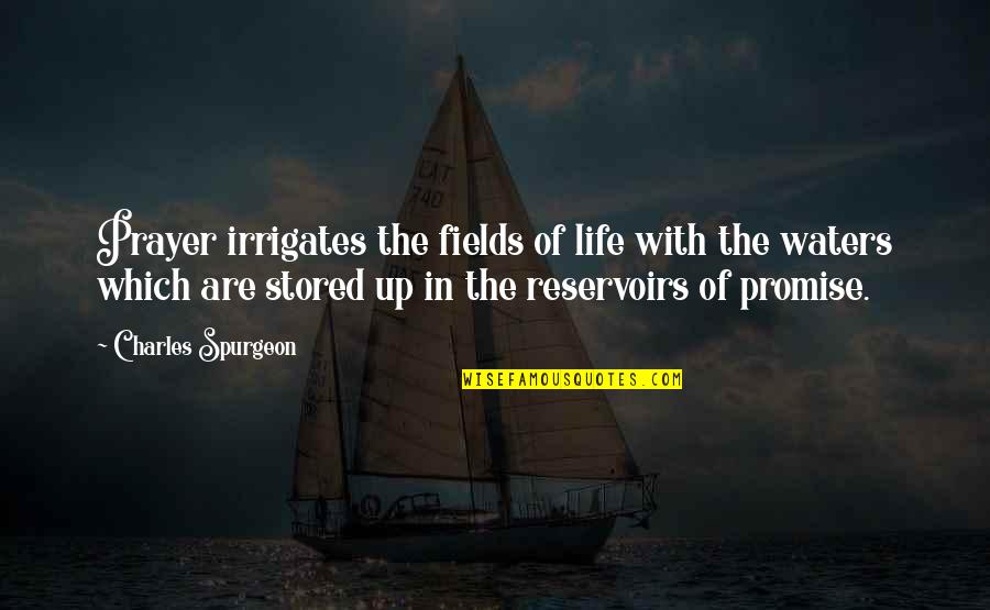 Marrier In Haste Quotes By Charles Spurgeon: Prayer irrigates the fields of life with the Marrier In Haste Quotes By Charles Spurgeon: Prayer irrigates the fields of life with the