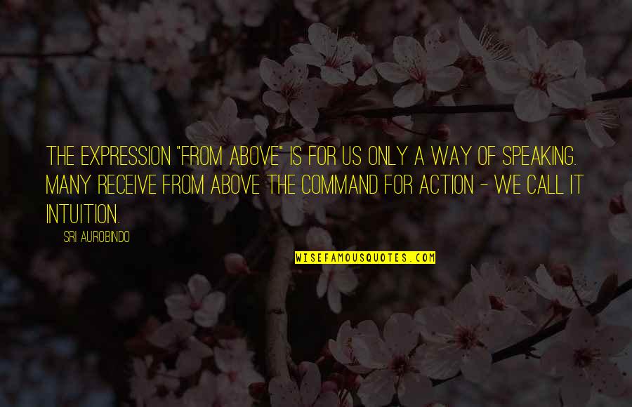 Marrokal Accessory Quotes By Sri Aurobindo: The expression "from above" is for us only