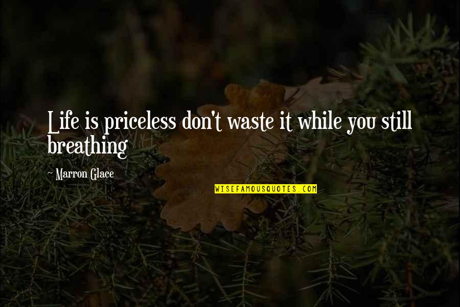 Marron Quotes By Marron Glace: Life is priceless don't waste it while you