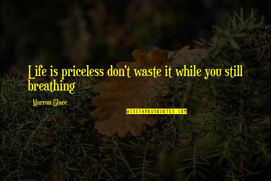 Marron's Quotes By Marron Glace: Life is priceless don't waste it while you