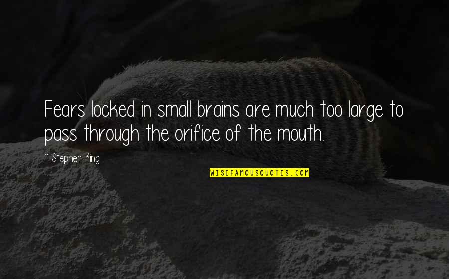 Marrow Tarryn Fisher Quotes By Stephen King: Fears locked in small brains are much too Marrow Tarryn Fisher Quotes By Stephen King: Fears locked in small brains are much too