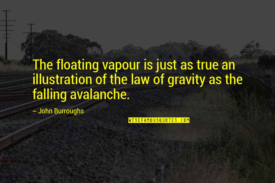 Marryingest Quotes By John Burroughs: The floating vapour is just as true an