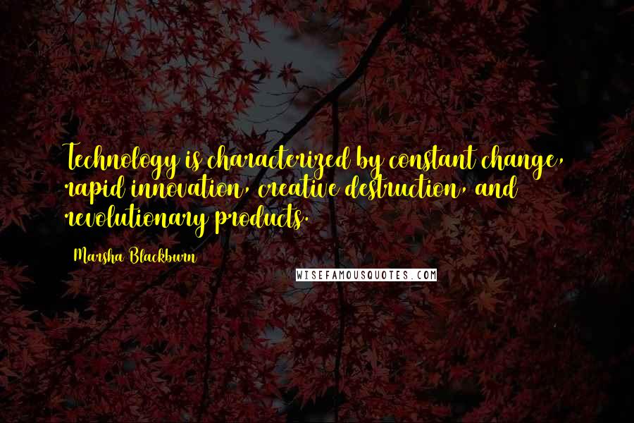 Marsha Blackburn quotes: Technology is characterized by constant change, rapid innovation, creative destruction, and revolutionary products.