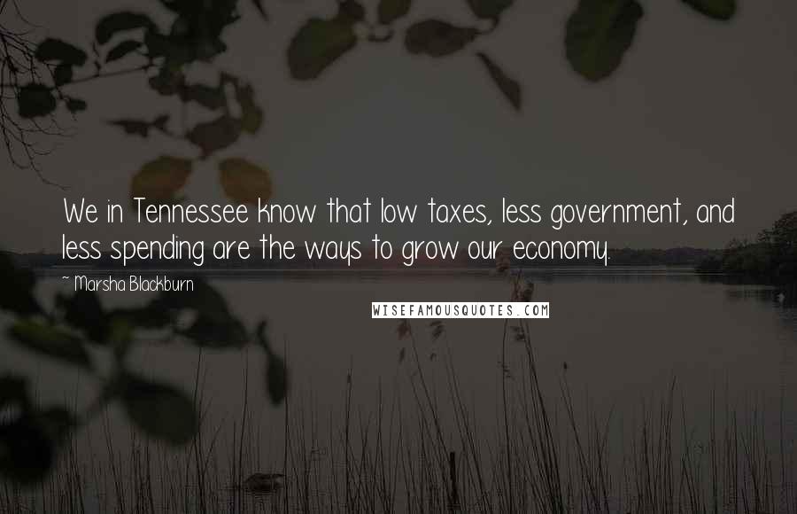 Marsha Blackburn quotes: We in Tennessee know that low taxes, less government, and less spending are the ways to grow our economy.