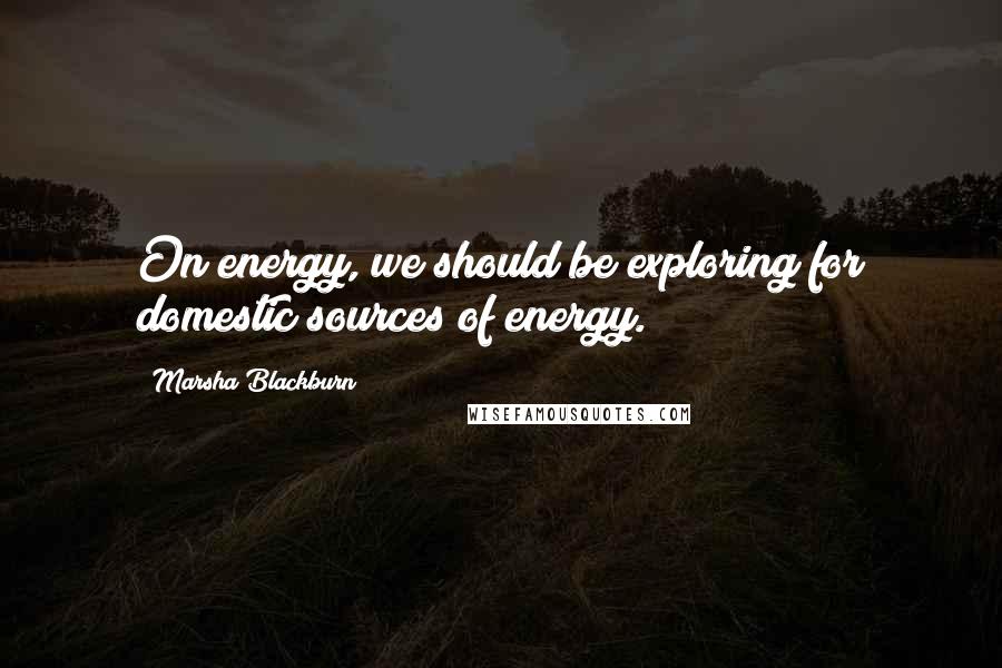 Marsha Blackburn quotes: On energy, we should be exploring for domestic sources of energy.