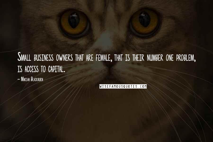 Marsha Blackburn quotes: Small business owners that are female, that is their number one problem, is access to capital.