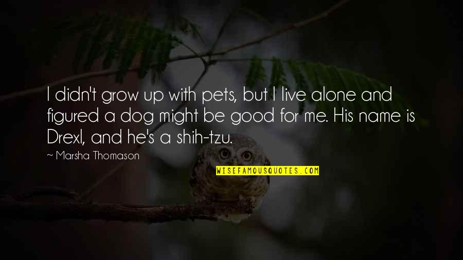 Marsha Quotes By Marsha Thomason: I didn't grow up with pets, but I