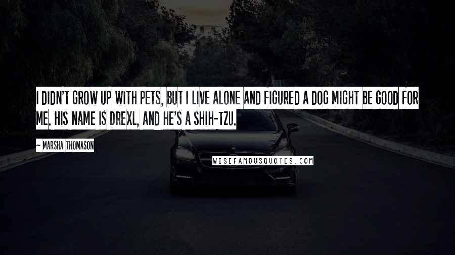 Marsha Thomason quotes: I didn't grow up with pets, but I live alone and figured a dog might be good for me. His name is Drexl, and he's a shih-tzu.