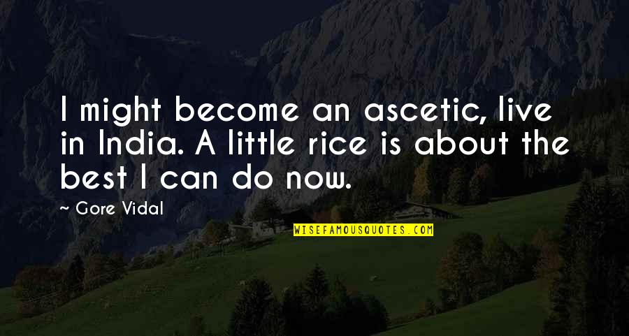 Marshalsea Relief Quotes By Gore Vidal: I might become an ascetic, live in India.