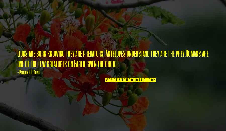 Marshy Lands Quotes By Patrick H.T. Doyle: Lions are born knowing they are predators. Antelopes Marshy Lands Quotes By Patrick H.T. Doyle: Lions are born knowing they are predators. Antelopes