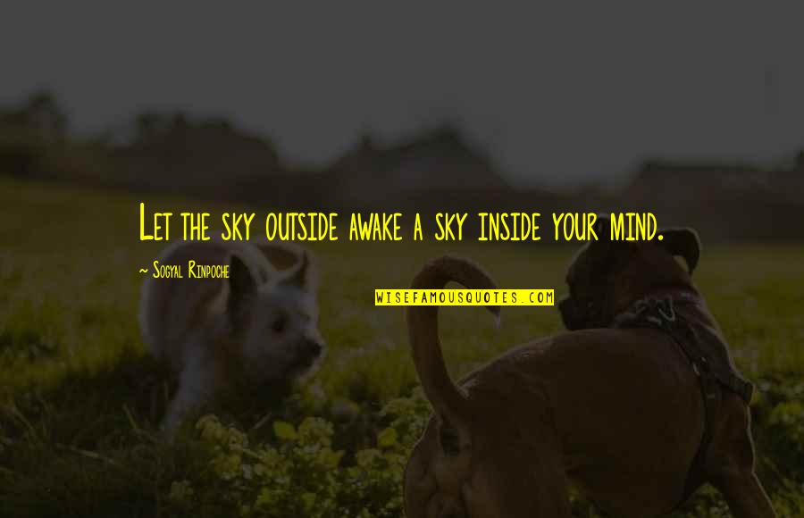 Marsoc Logo Quotes By Sogyal Rinpoche: Let the sky outside awake a sky inside Marsoc Logo Quotes By Sogyal Rinpoche: Let the sky outside awake a sky inside