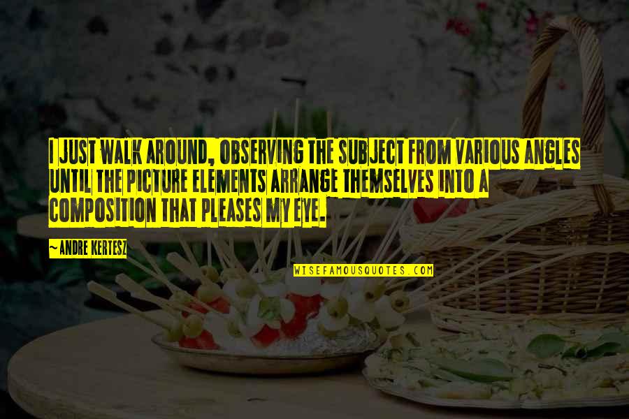 Marsylia Quotes By Andre Kertesz: I just walk around, observing the subject from Marsylia Quotes By Andre Kertesz: I just walk around, observing the subject from