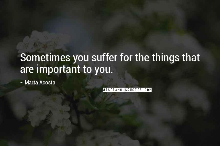 Marta Acosta quotes: Sometimes you suffer for the things that are important to you.