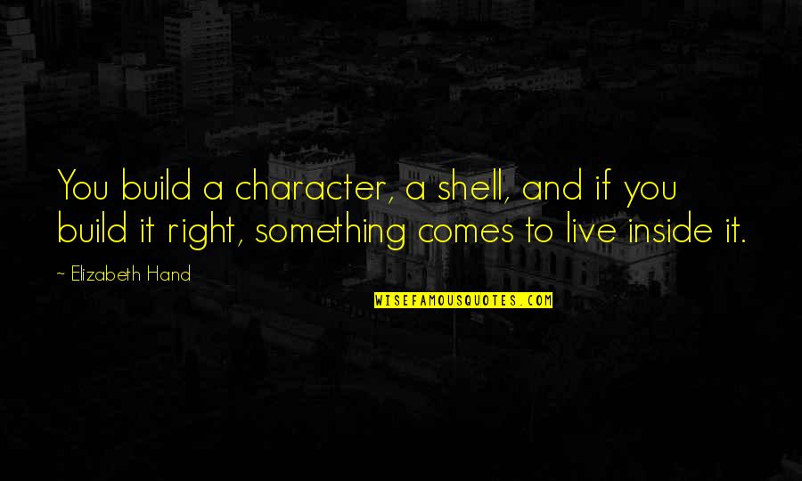 Martana Hanson Quotes By Elizabeth Hand: You build a character, a shell, and if