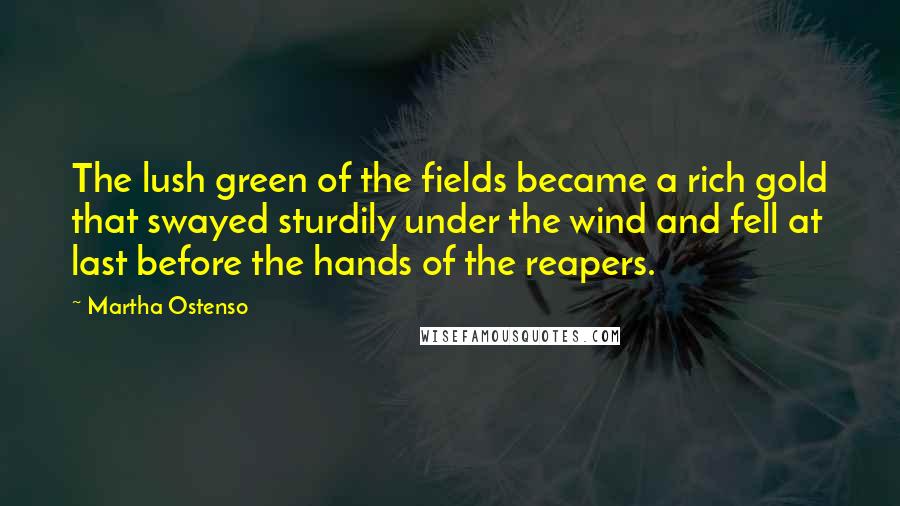 Martha Ostenso quotes: The lush green of the fields became a rich gold that swayed sturdily under the wind and fell at last before the hands of the reapers.