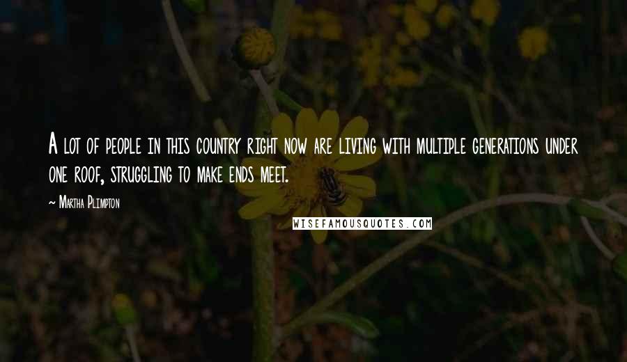 Martha Plimpton quotes: A lot of people in this country right now are living with multiple generations under one roof, struggling to make ends meet.