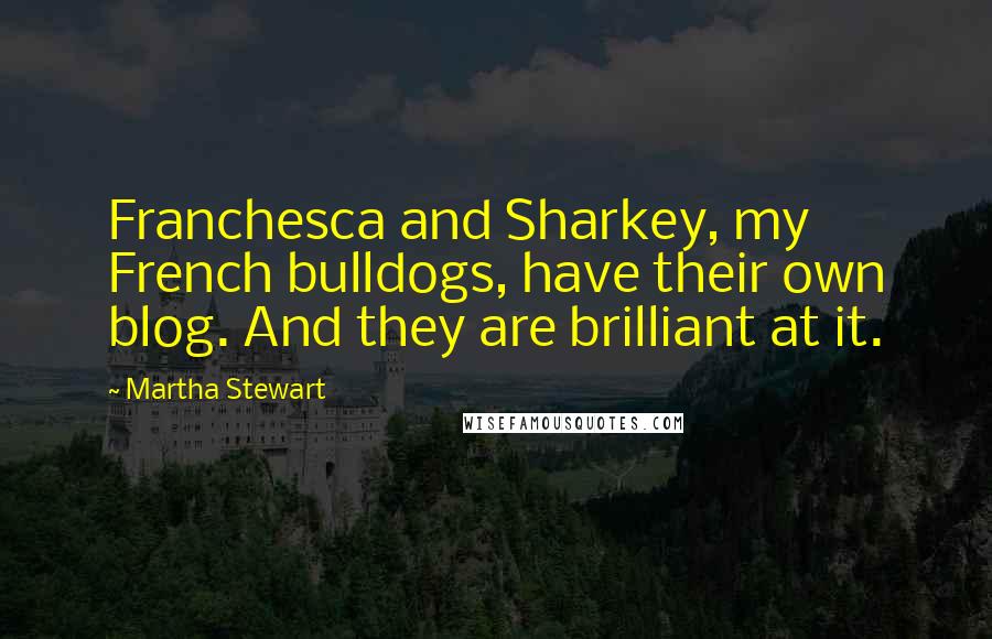 Martha Stewart quotes: Franchesca and Sharkey, my French bulldogs, have their own blog. And they are brilliant at it.