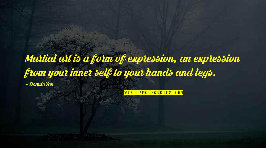 Martial Art Quotes By Donnie Yen: Martial art is a form of expression, an