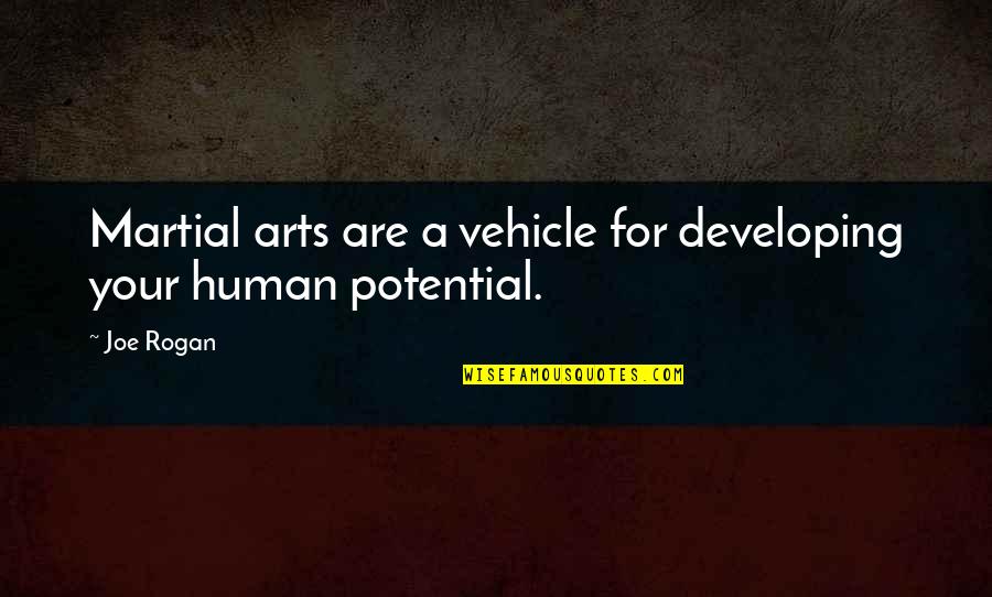 Martial Art Quotes By Joe Rogan: Martial arts are a vehicle for developing your