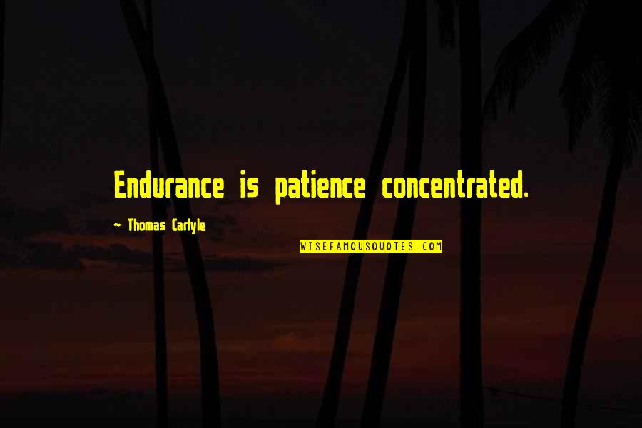 Martial Arts Philosophy Quotes By Thomas Carlyle: Endurance is patience concentrated.