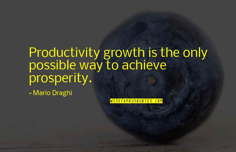 Martin Castillo Quotes By Mario Draghi: Productivity growth is the only possible way to