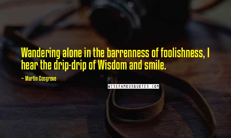 Martin Cosgrove quotes: Wandering alone in the barrenness of foolishness, I hear the drip-drip of Wisdom and smile.