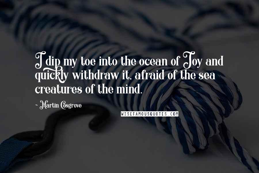 Martin Cosgrove quotes: I dip my toe into the ocean of Joy and quickly withdraw it, afraid of the sea creatures of the mind.