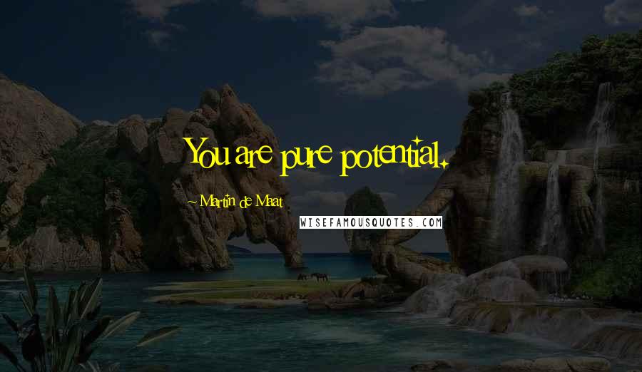 Martin De Maat quotes: You are pure potential.